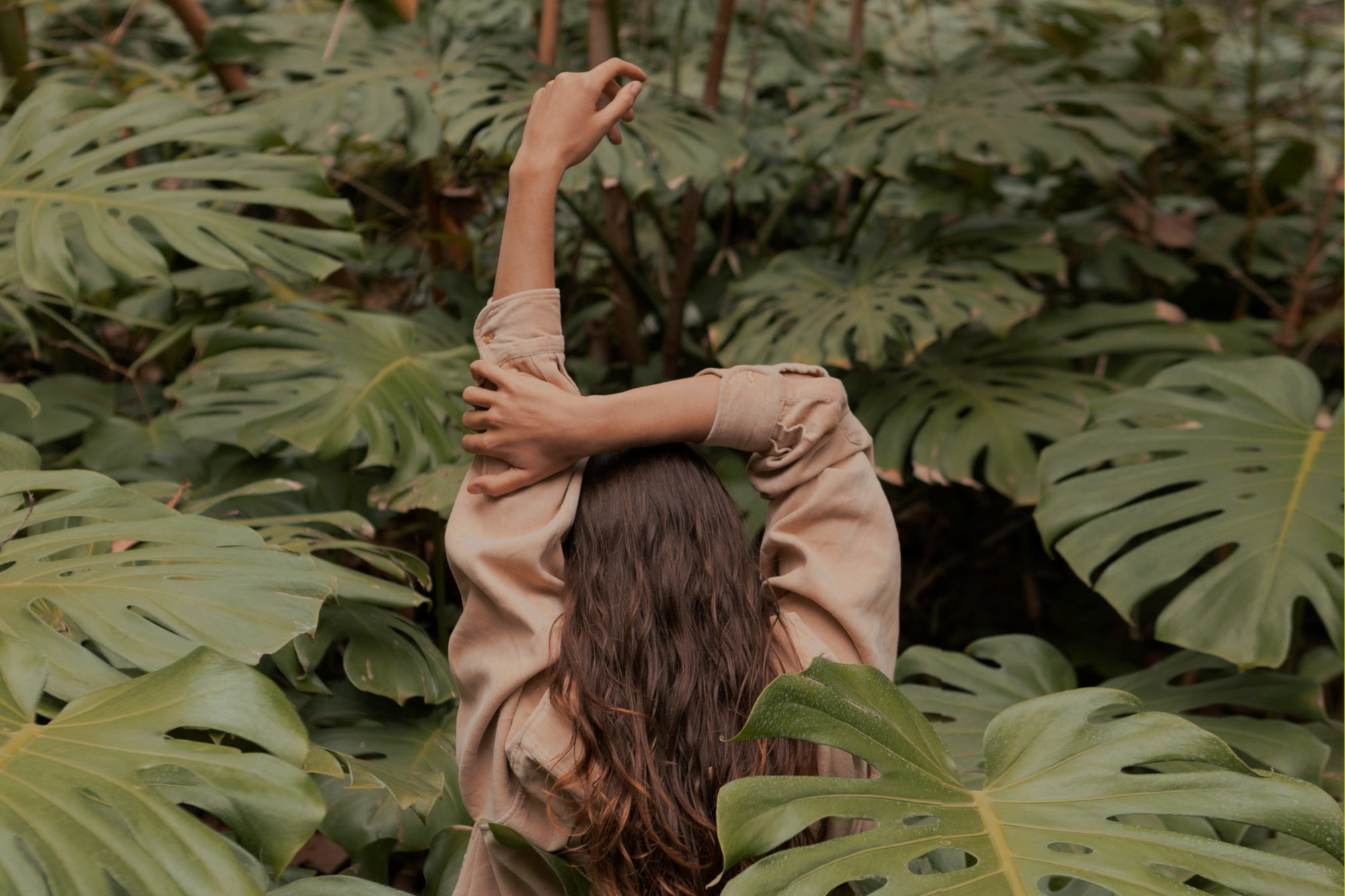 Mehr über den Artikel erfahren Willkommen bei ThrivnPress – hier findest du alle Ressourcen für deine „Thriving Era“!