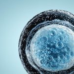 DIE KRAFTWERKE DEINER ZELLEN: mehr Energie & Strahlkraft mit Nährstoffen für deine Mitochondrien